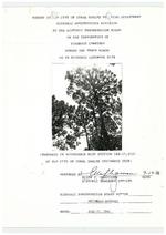[1986-07-17] Report of the City of Coral Gables Planning Department Historic Preservation Division to the Historic Preservation board on the designation of Pinewood Cemetery Sunset and Erwin Roads as a historic landmark site